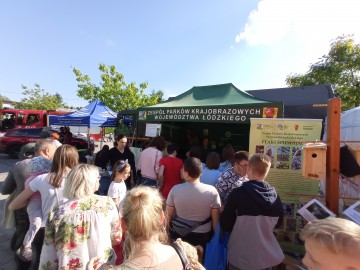 Piknik województwa łódzkiego w Brzezinach z okazji Dnia Dziecka, 